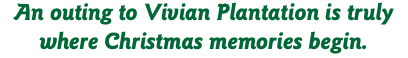 An outing to Vivian Plantation is truly where Christmas memories begin.