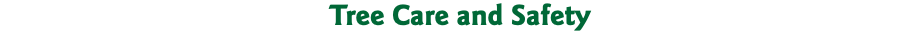Tree Care and Safety